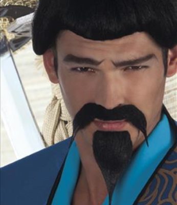 Moustache et barbe Samouraï